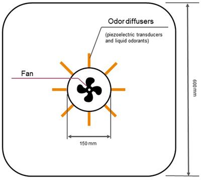 An experimental paradigm for studying EEG correlates of olfactory discrimination